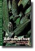 Adromischus - The Cactus File Handbook 3