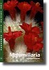 Mammillaria - The Cactus File Handbook 6